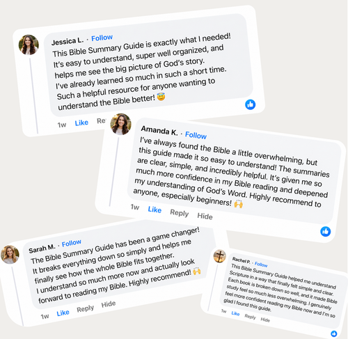 Entire Bible Made Simple - Bible Book Summary